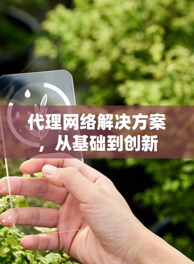 代理网络解决方案，从基础到创新