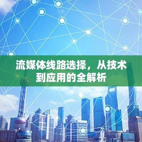流媒体线路选择,从技术到应用的全解析