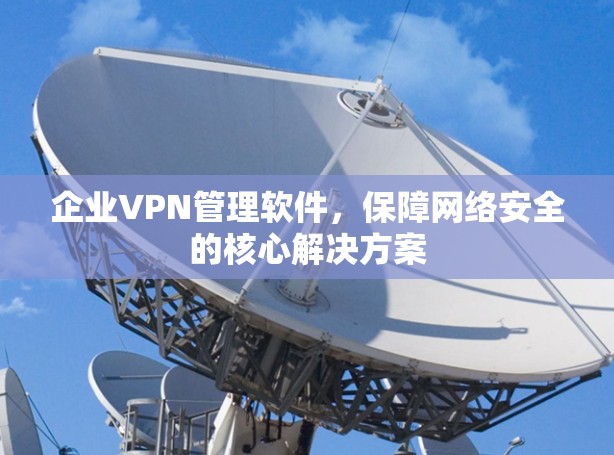 企业VPN管理软件,保障网络安全的核心解决方案