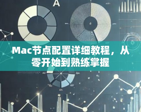 Mac节点配置详细教程,从零开始到熟练掌握