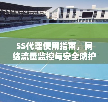 SS代理使用指南,网络流量监控与安全防护 SS代理使用指南,网络流量监控与安全防护