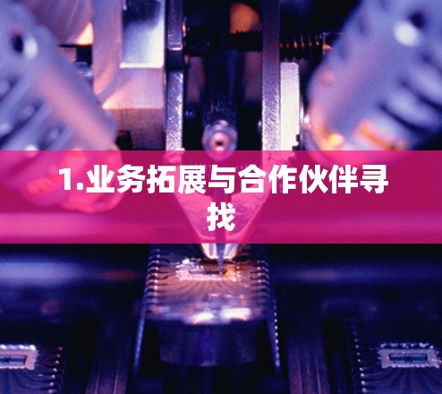1.业务拓展与合作伙伴寻找