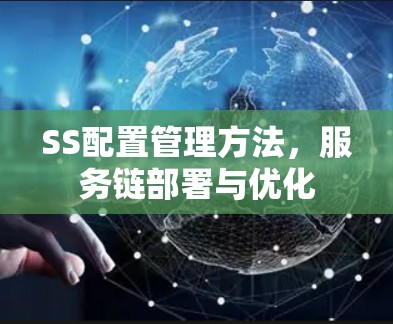 SS配置管理方法,服务链部署与优化