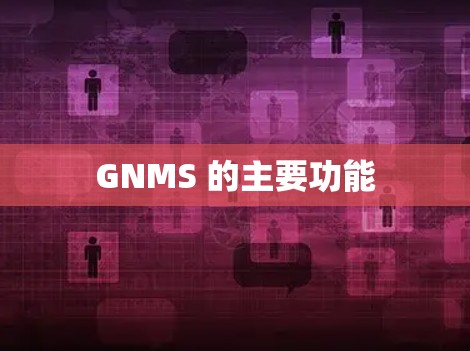 GNMS 的主要功能 GNMS 的主要功能