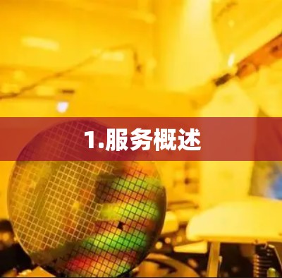 1.服务概述 1.服务概述