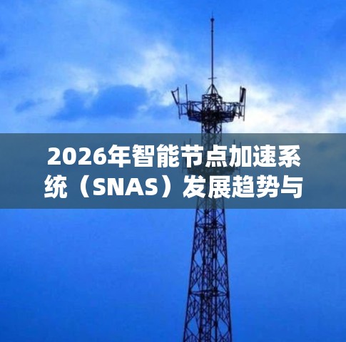 2026年智能节点加速系统(SNAS)发展趋势与应用分析 2026年智能节点加速系统(SNAS)发展趋势与应用分析